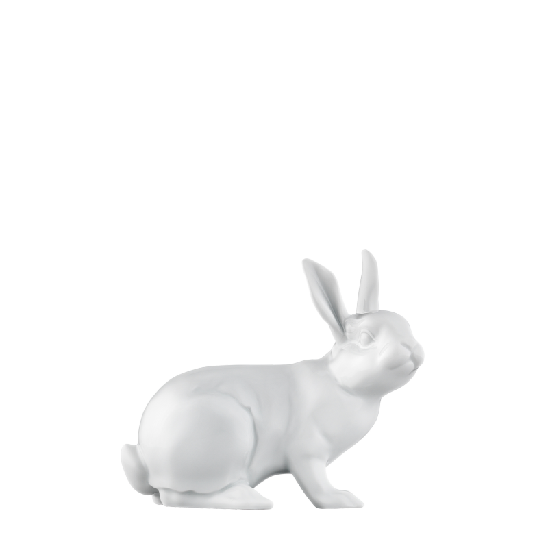 img1_pl188310weiss_hase_2017_manfred